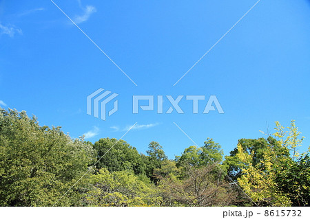 秋空 秋空 8615732