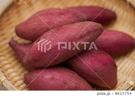 サツマイモ　鳴門金時 8615754