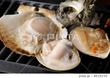 ホタテ　ハマグリ　サザエ 8616250