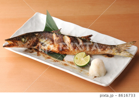 カマス焼き カマス焼き 8616733