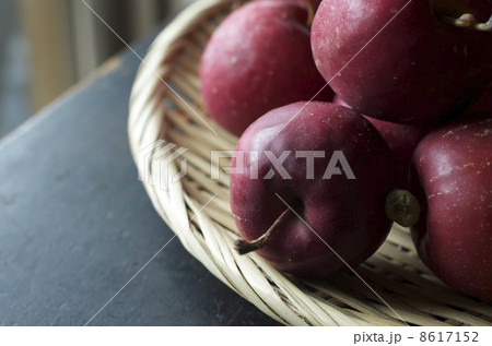 アルプス乙女 アルプス乙女 8617152