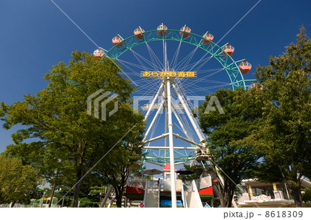 あらかわ遊園の観覧車 あらかわ遊園の観覧車 8618309