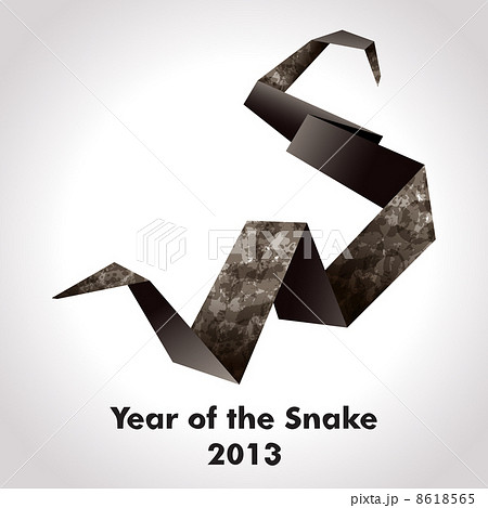 Year of the Snake Year of the Snake 8618565