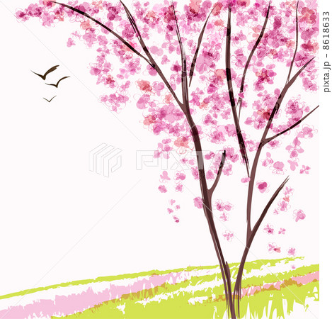Spring blooming tree 8618633