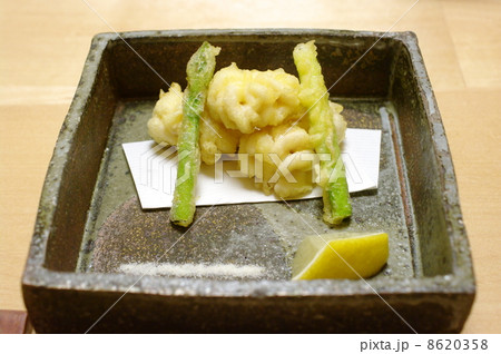 白子の天麩羅 8620358