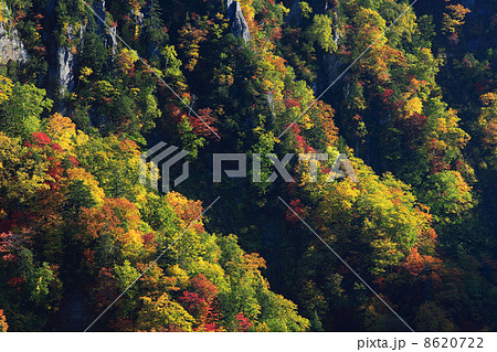 天人峡の紅葉　02 8620722