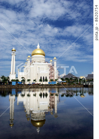 オールドモスク 8620754