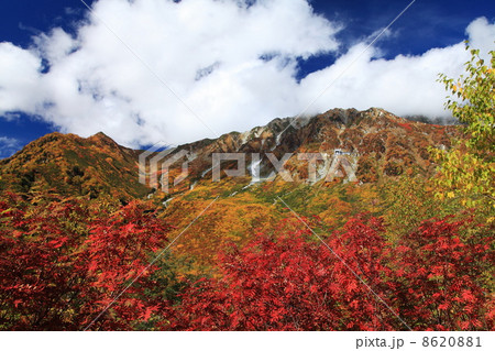 秋の黒部平 8620881