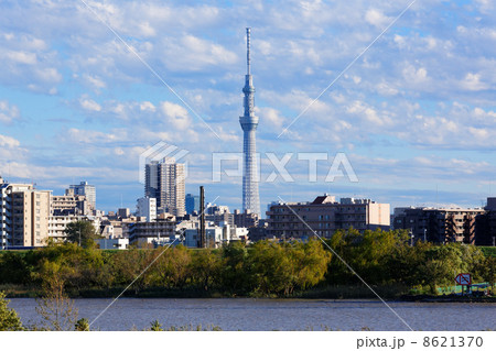 台風通過後の青空が広がる川の手住宅街と東京スカイツリー 8621370