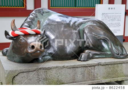 大宰府天満宮 8622458