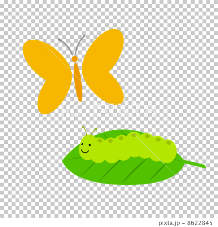 羽化 羽化 8622845