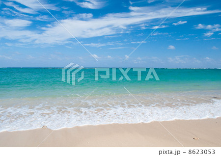 沖縄の海 東村ウッパマビーチ 沖縄の海 東村ウッパマビーチ 8623053