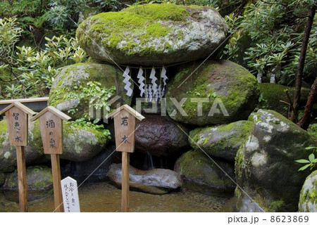 日光 二荒山神社 8623869