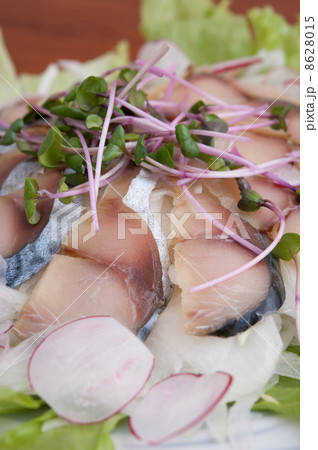 しめ鯖のサラダ 8628015