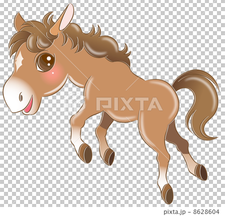 pony 8628604