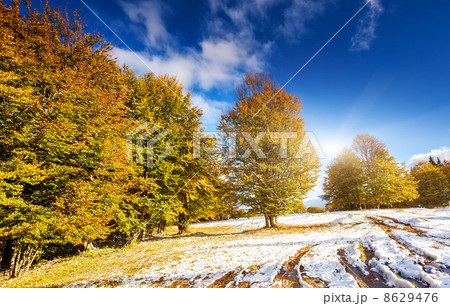 mountain landscape mountain landscape 8629476