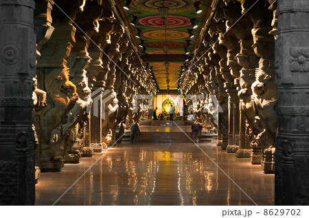Meenakshi Sundareswarar Temple. India, Madurai Meenakshi Sundareswarar Temple. India, Madurai 8629702