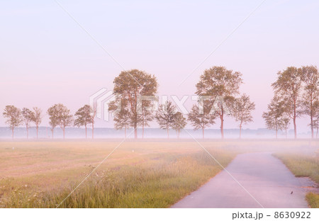 fog in morning in Groningen 8630922