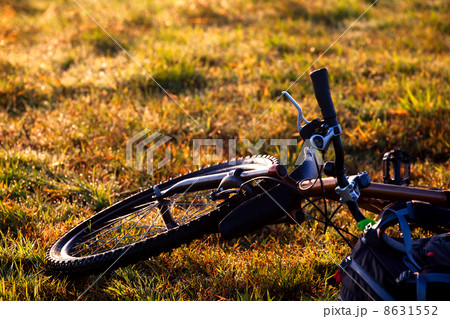 mountain bicycle on grass 8631552
