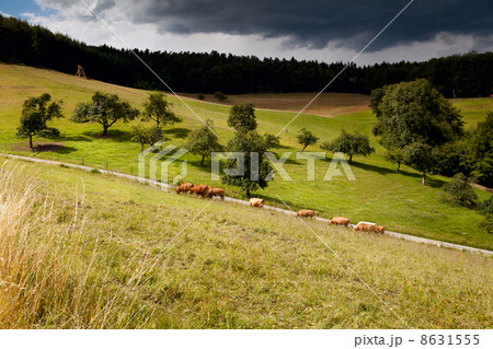 sunny pasture before storm 8631555