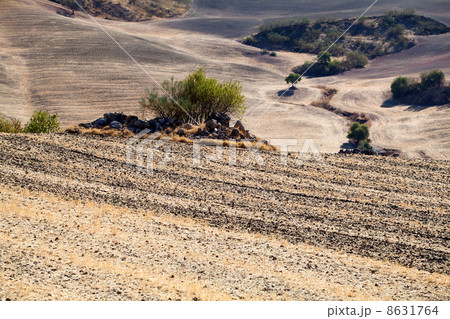 typical landscape in Andalucia typical landscape in Andalucia 8631764
