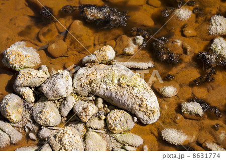 acidic crystals in rio Tinto 8631774