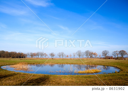 round shaped little pond 8631902