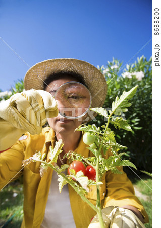gardening gardening 8633200