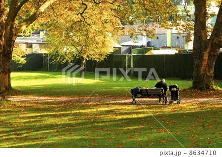 バンクーバーの秋 バンクーバーの秋 8634710