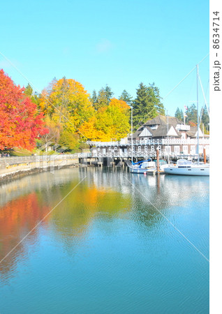 バンクーバーの秋 8634714