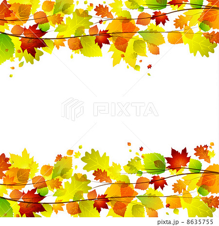 autumn leaves 8635755