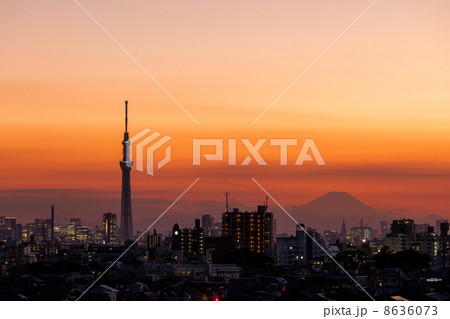 東京スカイツリーと富士山の夕景 8636073