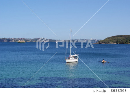 マンリー湾に停泊するヨット 8638563
