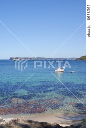 マンリー湾に停泊するヨット マンリー湾に停泊するヨット 8638565