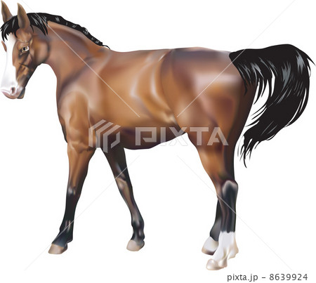 horse Illustration 8639924