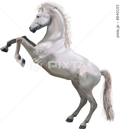 rearing horse illustration 8640105