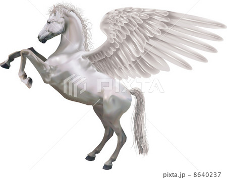 Rearing Pegasus Horse Illustrationのイラスト素材