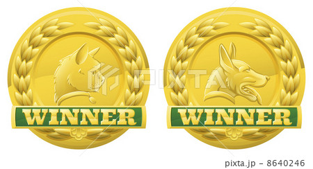 Cat and dog pet winners medals 8640246