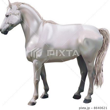 horses Illustration 8640621