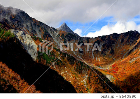 涸沢カールの紅葉 8640890