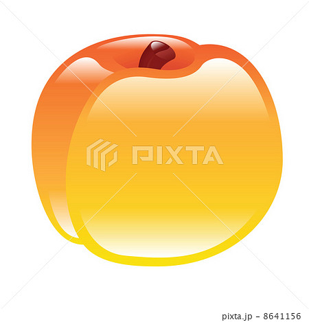 peach illustration 8641156