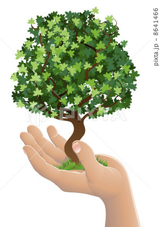 Hand holding a growing tree 8641466