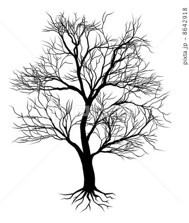 Hand drawn old tree silhouette Hand drawn old tree silhouette 8642918