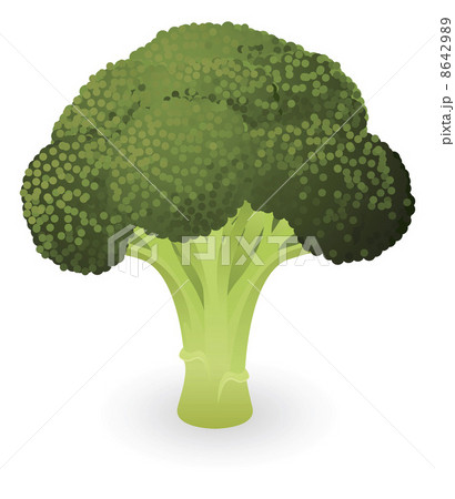 Broccoli illustration Broccoli illustration 8642989
