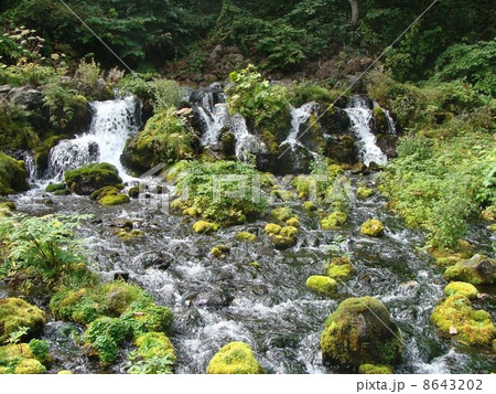 ふきだし公園 8643202