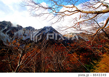 涸沢カールの紅葉 8643349