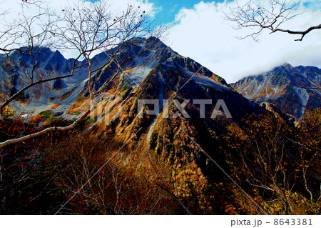 涸沢カールの紅葉 8643381