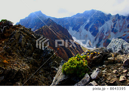 涸沢カールの紅葉 8643395