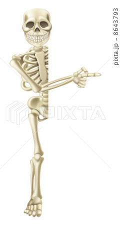 Cartoon Halloween Skeleton Pointing 8643793