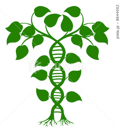 DNA nature plant 8644002